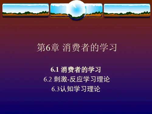 第6章 消费者的学习  《消费者行为学》PPT课件