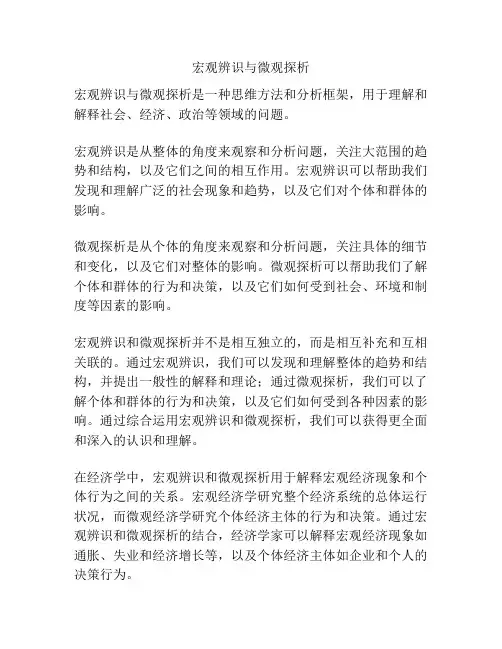 宏观辨识与微观探析