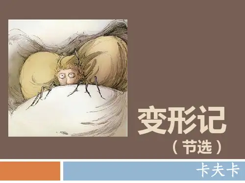 卡夫卡 变形记优秀完整课件