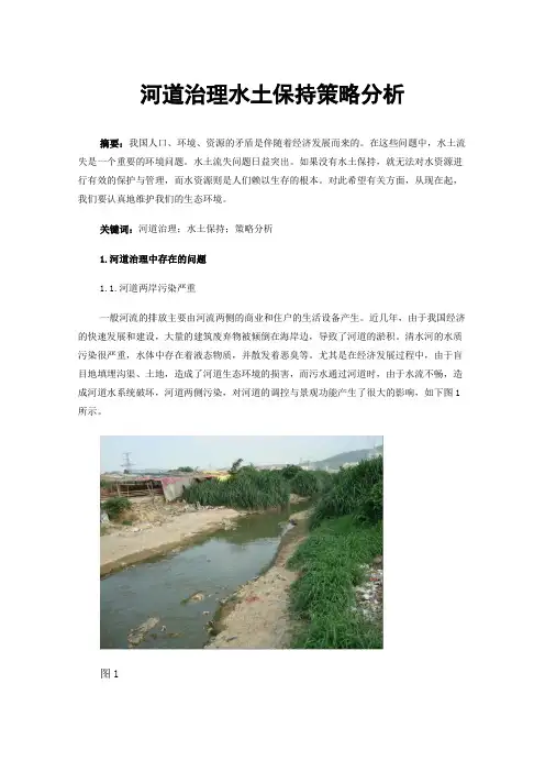 河道治理水土保持策略分析