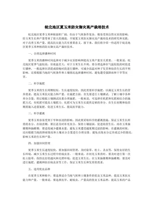皖北地区夏玉米防灾御灾高产栽培技术