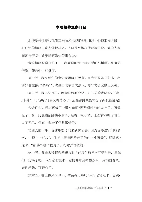 水培植物观察日记