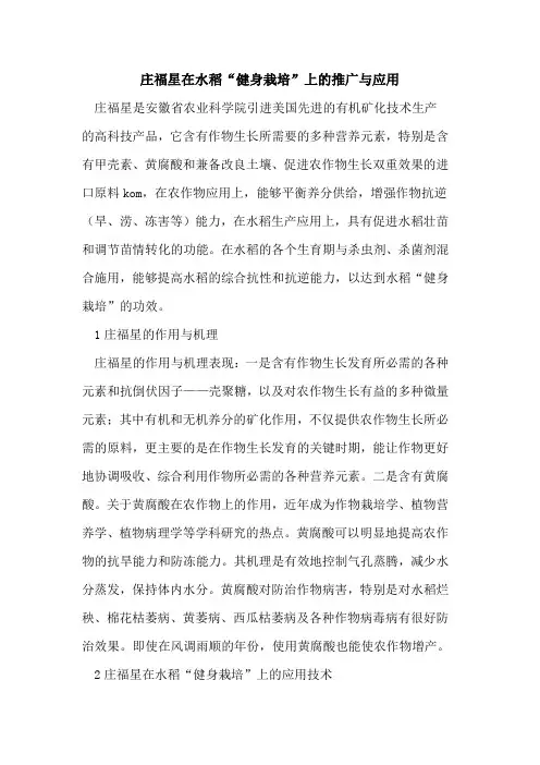 庄福星在水稻“健身栽培”上推广与应用