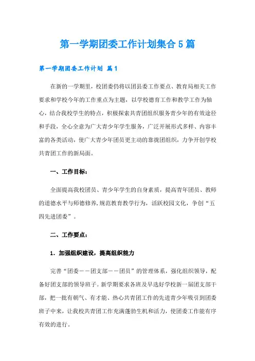 第一学期团委工作计划集合5篇