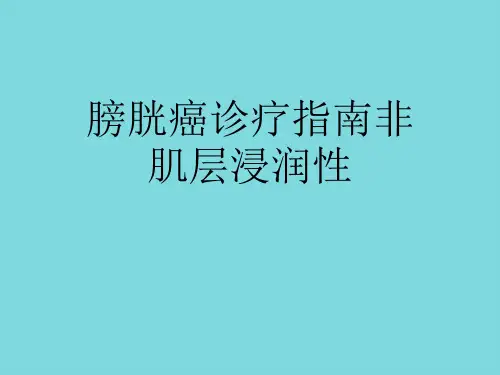 膀胱癌诊疗指南非肌层浸润性【64页】