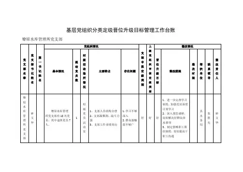 基层党组织分类定级晋位升级目标管理工作台账