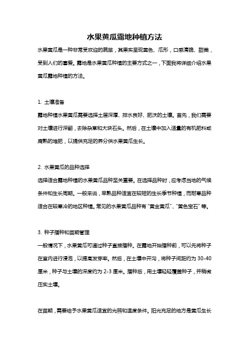 水果黄瓜露地种植方法