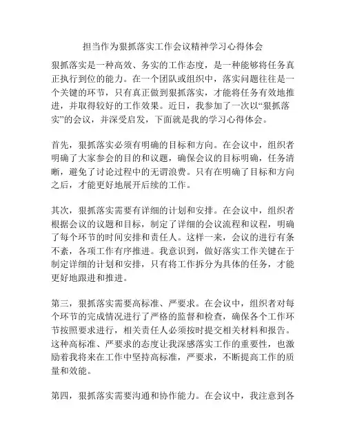 担当作为狠抓落实工作会议精神学习心得体会