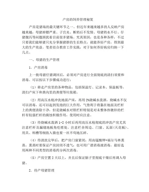 产房的饲养管理秘笈
