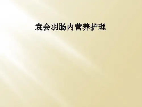 【2024版】袁会羽肠内营养护理