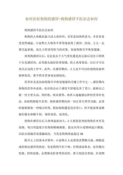如何治好狗狗的感冒-狗狗感冒不医治会如何