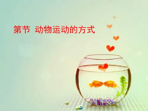 《动物运动的方式》PPT课件(上课用)
