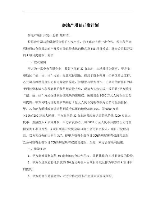房地产项目开发计划