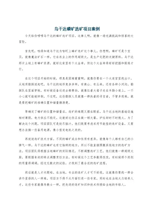 乌干达磷矿选矿项目案例