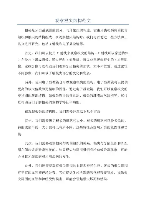 观察根尖结构范文