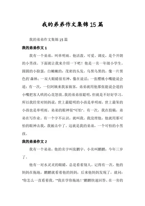 我的弟弟作文集锦15篇
