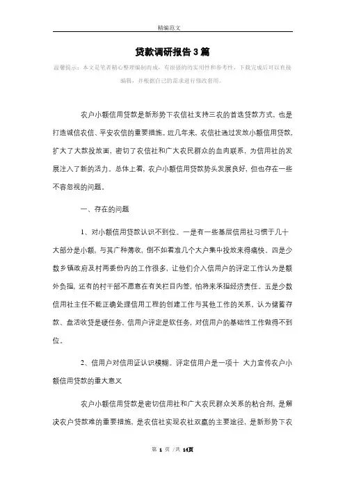 贷款调研报告3篇范文