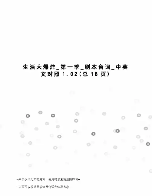 生活大爆炸_第一季_剧本台词_中英文对照