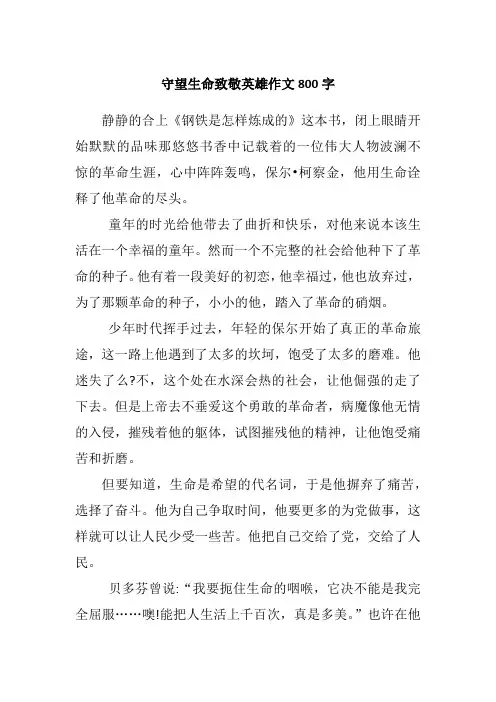 守望生命致敬英雄作文800字