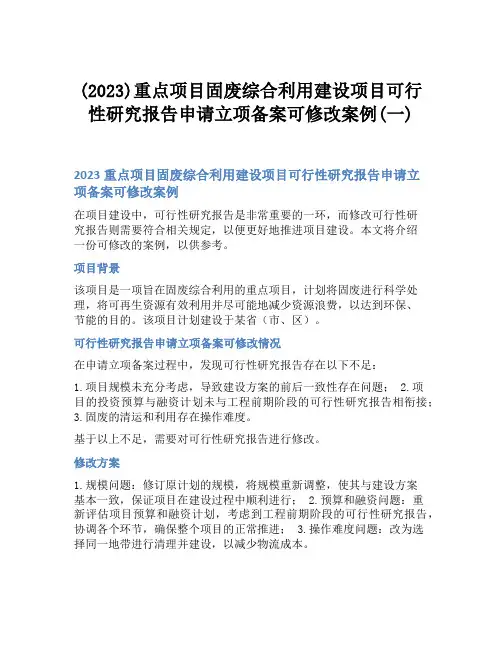 (2023)重点项目固废综合利用建设项目可行性研究报告申请立项备案可修改案例(一)