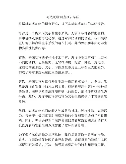 海底动物调查报告总结