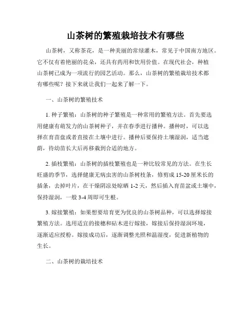 山茶树的繁殖栽培技术有哪些