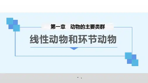 《线形动物和环节动物》PPT课件