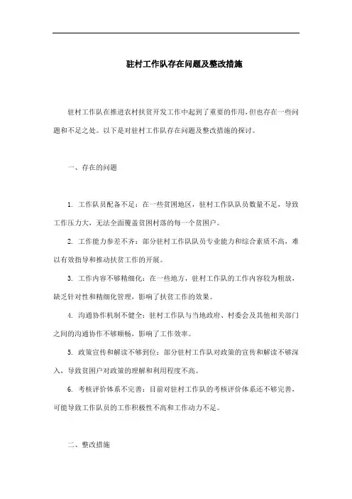 驻村工作队存在问题及整改