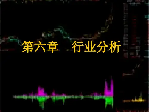 证券投资学_第六章_行业分析..