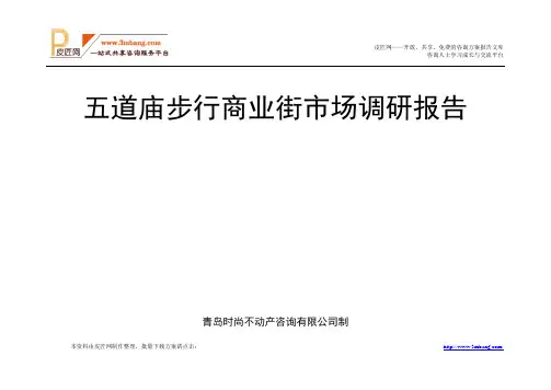 潍坊五道庙步行商业街市场调研报告