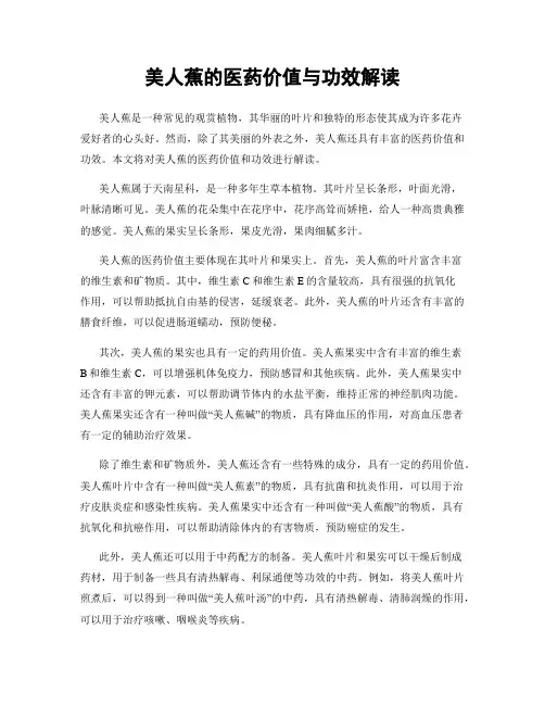 美人蕉的医药价值与功效解读