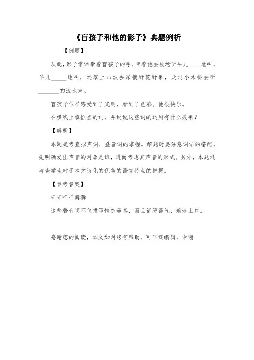 《盲孩子和他的影子》典题例析
