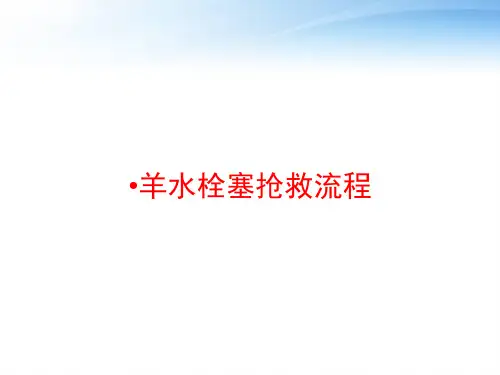 羊水栓塞抢救流程 ppt课件