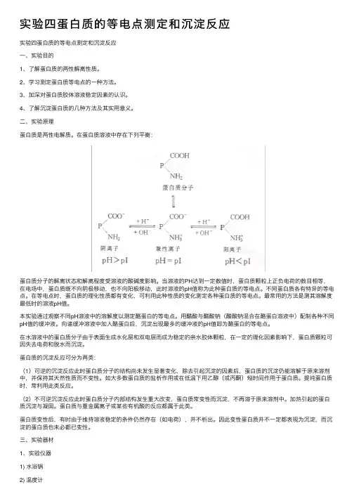 实验四蛋白质的等电点测定和沉淀反应