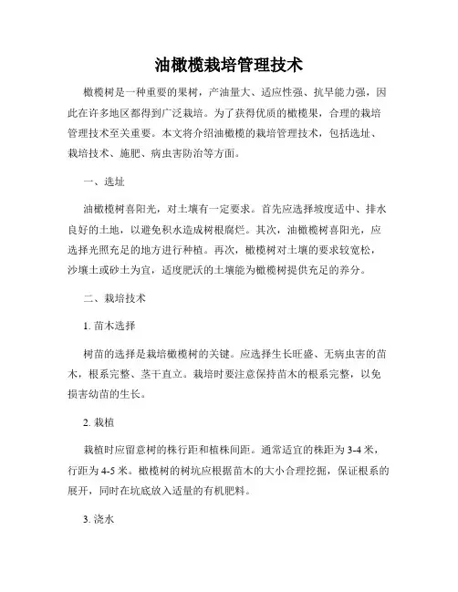 油橄榄栽培管理技术