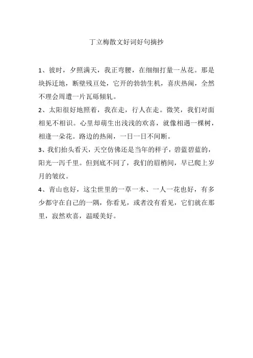 丁立梅散文好词好句摘抄
