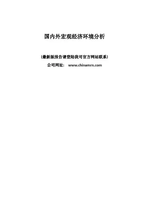 国内外宏观经济环境分析