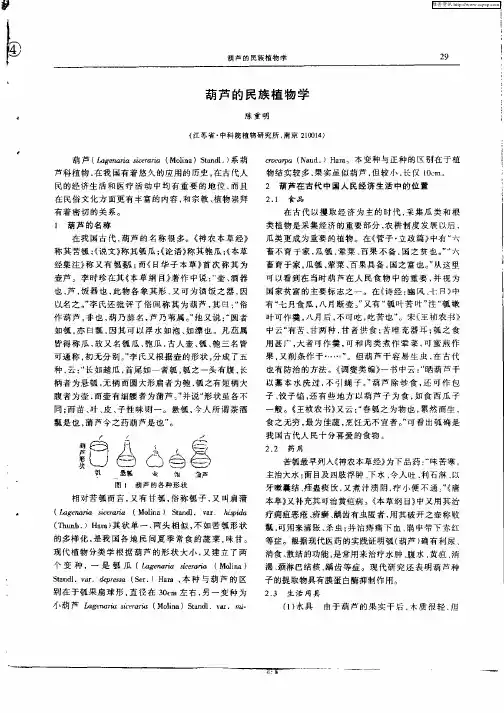 葫芦的民族植物学