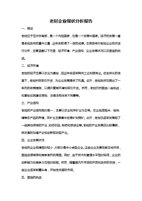 老挝企业现状分析报告