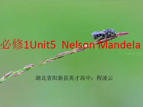英语：必修1-Unit5-Nelson-Mandela-a-modern-hero词汇总结课件(新人教版)(201910)
