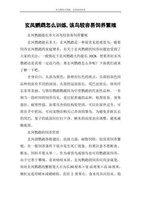 玄凤鹦鹉怎么训练,该鸟较容易饲养繁殖