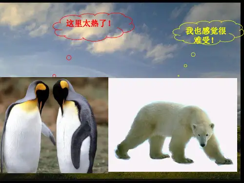 地理：中图版八年级下第六章第五节《极地地区》课件