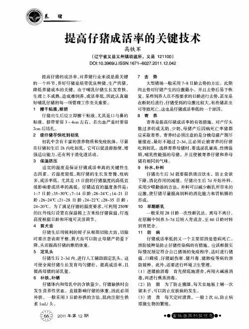 提高仔猪成活率的关键技术