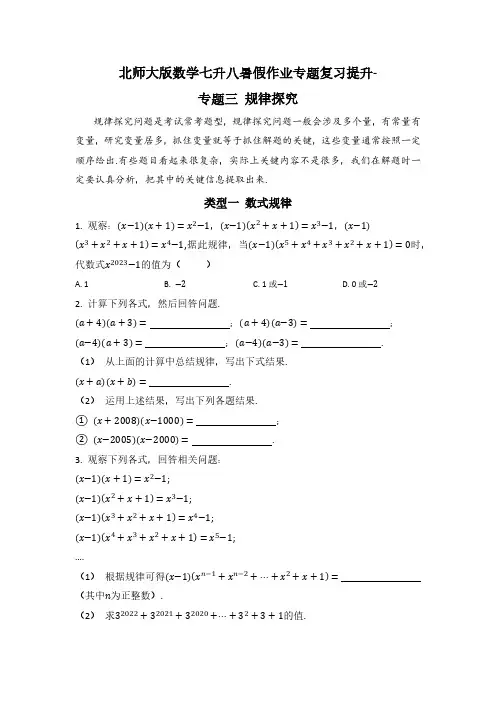 北师大版数学七升八暑假作业专题复习提升 专题三 规律探究(含答案)
