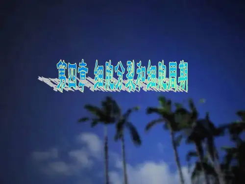 细胞分裂和细胞周期