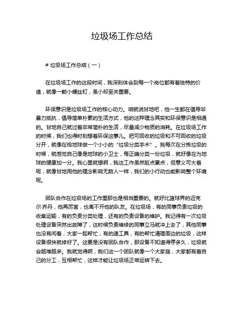 垃圾场工作总结
