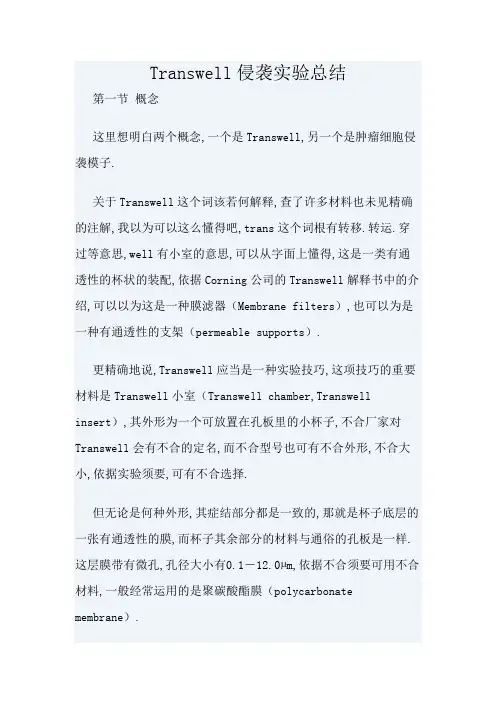 Transwell实验 超详细