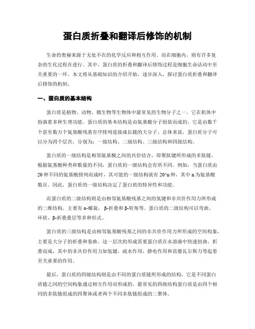 蛋白质折叠和翻译后修饰的机制