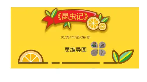 《昆虫记》思维导图10张