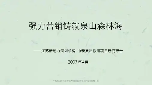 中新集团徐州某房地产项目定位市场研究报告文档下载课件